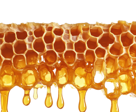 Golden honeycomb dripping honey