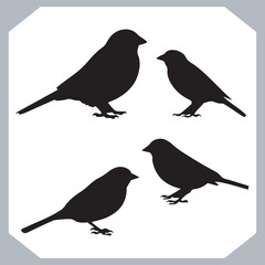 Set of Sparrow bird silhouette collection, Sparrow flying design, bird black silhouettes of different kinds sparrow vector flat isolated