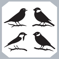 Set of Sparrow bird silhouette collection, Sparrow flying design, bird black silhouettes of different kinds sparrow vector flat isolated