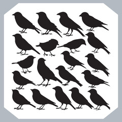 Set of Sparrow bird silhouette collection, Sparrow flying design, bird black silhouettes of different kinds sparrow vector flat isolated