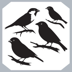 Set of Sparrow bird silhouette collection, Sparrow flying design, bird black silhouettes of different kinds sparrow vector flat isolated