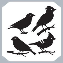 Obraz premium Set of Sparrow bird silhouette collection, Sparrow flying design, bird black silhouettes of different kinds sparrow vector flat isolated
