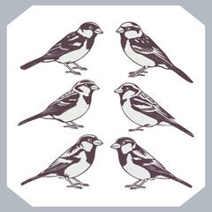 Set of Sparrow bird silhouette collection, Sparrow flying design, bird black silhouettes of different kinds sparrow vector flat isolated