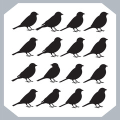 Set of Sparrow bird silhouette collection, Sparrow flying design, bird black silhouettes of different kinds sparrow vector flat isolated
