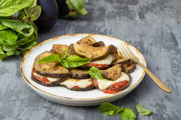 An eggplant dish in the form of rolls on a plate on a dark background. Italian cuisine, eggplants with tomato sauce and mozzarella. Horizontal.