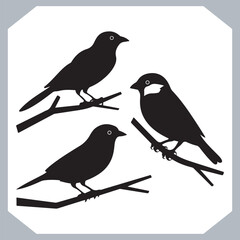 Set of Sparrow bird silhouette collection, Sparrow flying design, bird black silhouettes of different kinds sparrow vector flat isolated