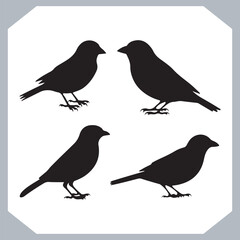 Set of Sparrow bird silhouette collection, Sparrow flying design, bird black silhouettes of different kinds sparrow vector flat isolated