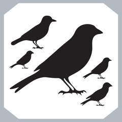 Set of Sparrow bird silhouette collection, Sparrow flying design, bird black silhouettes of different kinds sparrow vector flat isolated