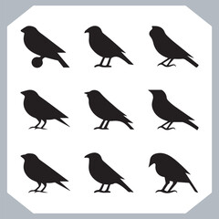 Set of Sparrow bird silhouette collection, Sparrow flying design, bird black silhouettes of different kinds sparrow vector flat isolated