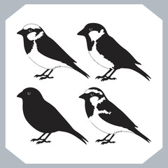 Set of Sparrow bird silhouette collection, Sparrow flying design, bird black silhouettes of different kinds sparrow vector flat isolated