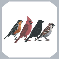 Set of Sparrow bird silhouette collection, Sparrow flying design, bird black silhouettes of different kinds sparrow vector flat isolated
