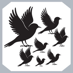 Set of Sparrow bird silhouette collection, Sparrow flying design, bird black silhouettes of different kinds sparrow vector flat isolated