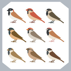 Set of Sparrow bird silhouette collection, Sparrow flying design, bird black silhouettes of different kinds sparrow vector flat isolated
