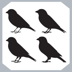 Set of Sparrow bird silhouette collection, Sparrow flying design, bird black silhouettes of different kinds sparrow vector flat isolated