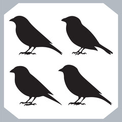 Set of Sparrow bird silhouette collection, Sparrow flying design, bird black silhouettes of different kinds sparrow vector flat isolated