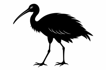 Walking ibis bird silhouette black vector art illustration 