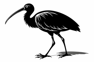 Walking ibis bird silhouette black vector art illustration 