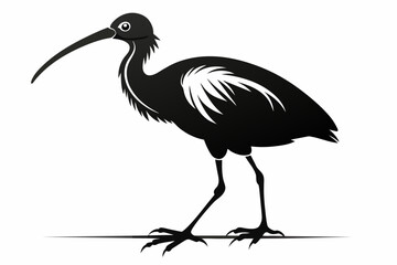 Walking ibis bird silhouette black vector art illustration 