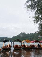 covered wood boats in a lake in Slovenia with trees and a castle in the background