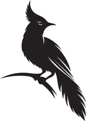 Obraz premium High-Resolution Bird Illustration – Simple and Clean Vector on White Background