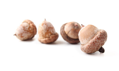 Isolated Hazelnut with defocused pile. Dried hazelnut seed pods. Healthy snack with for the brain. Harvest or fall background or decoration. Selective focus. White background.