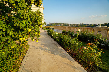 Budavàr castle backyard  gardens