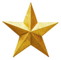 Obraz premium PNG Symbol decoration echinoderm christmas.