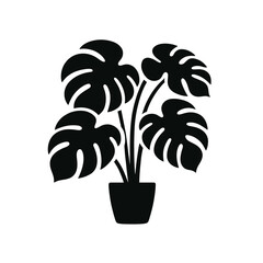 Silhouette Plant