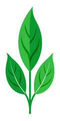 A simple, yet elegant illustration of three green leaves on a stem, perfect for adding a touch of nature to your designs. This vector graphic is ideal for eco-friendly projects, branding.