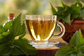 Nettle tea in a transparent glass cup