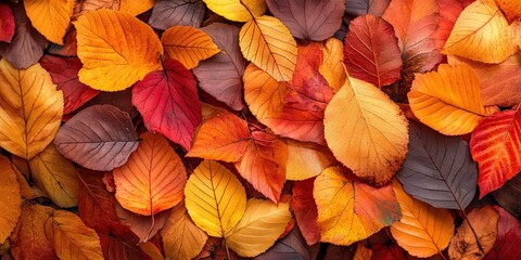 Fototapeta premium Vibrant autumn leaves scattered across a natural background