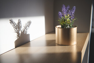 Purple lavender plant in a gold pot casting a shadow on a wooden shelf in soft natural light