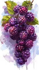 Luscious Blackberries Bursting with Juicy Goodness   A Vibrant Organic Fruit Cluster with Ripe Sweet Berries and Healthy Green Leaves Against a Watercolor Splashed Background