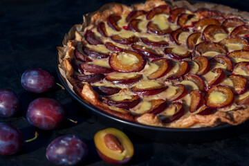 Swiss traditional  cake specialty - shallow tart with prune plums and egg-milk topping in low key...