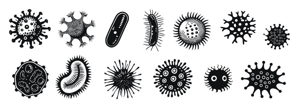 Set of various bacteria and virus icons, detailed vector illustration. Black and white designs of microorganisms with diverse shapes and structures.