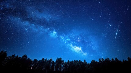 Naklejka premium Milky Way Over Forest