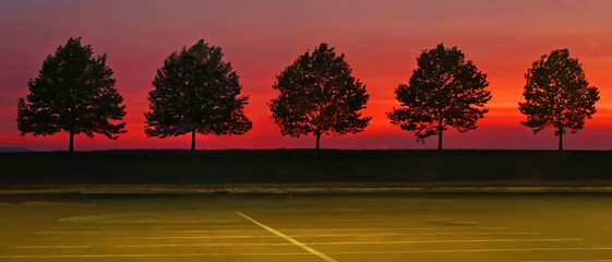 Afterglow's beautiful pink and magenta color has silhouetted this row of deciduous trees lining the parking lot.