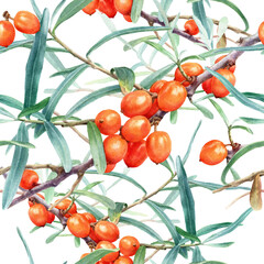 Seamless Watercolor Botanical Pattern of Sea Buckthorn Branches with Orange Berries and Green Leaves Isolated on White