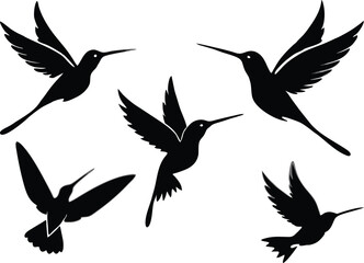 Humming bird silhouette vector illustration