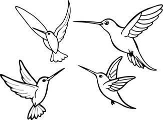 Humming bird silhouette vector illustration