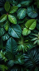 Fototapeta premium Dense Tropical Leaves with Dark and Moody Lighting