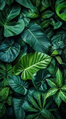 Dense Tropical Leaves with Dark and Moody Lighting