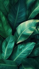 Dense Tropical Leaves with Dark and Moody Lighting
