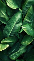 Dense Tropical Leaves with Dark and Moody Lighting