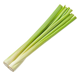 Fresh green leek with vibrant stalks ready for culinary use, perfect for healthy recipes and garnishing dishes.