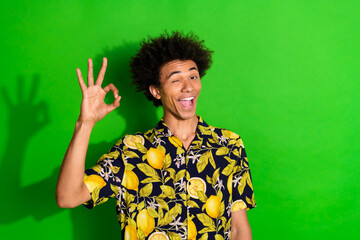 Photo of positive guy winking make okay sign isolated green color background
