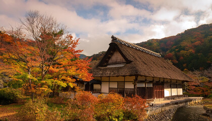Fototapeta premium 紅葉と古民家