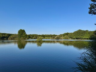 landscape of the edge of the communal pond of Aisses in Sologne on a summer day with green vegetation
