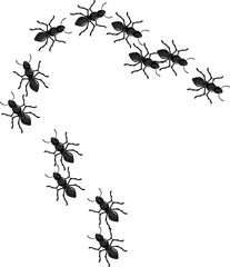 Colony of black ants is forming a question mark shape on a white background