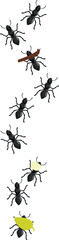 Colony of ants is working together, carrying leaves and food to the anthill